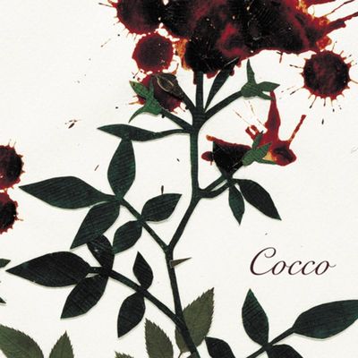 歌詞 和訳 Why Do I Love You Cocco こっこ の歌詞 タイトルの読み方 意味 Jpソングス歌詞